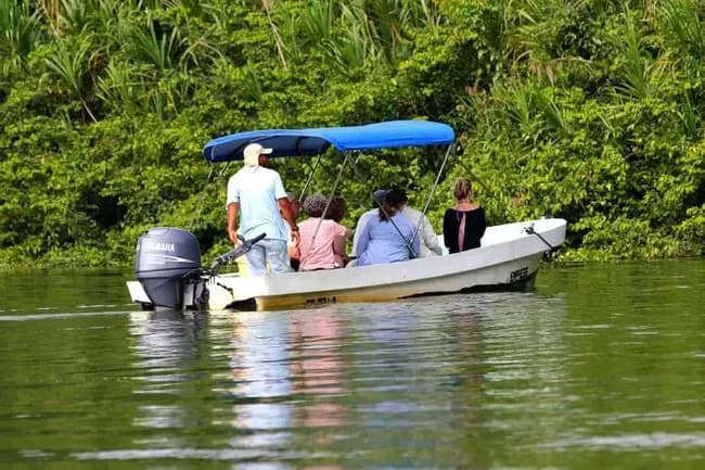 MONKEY RIVER