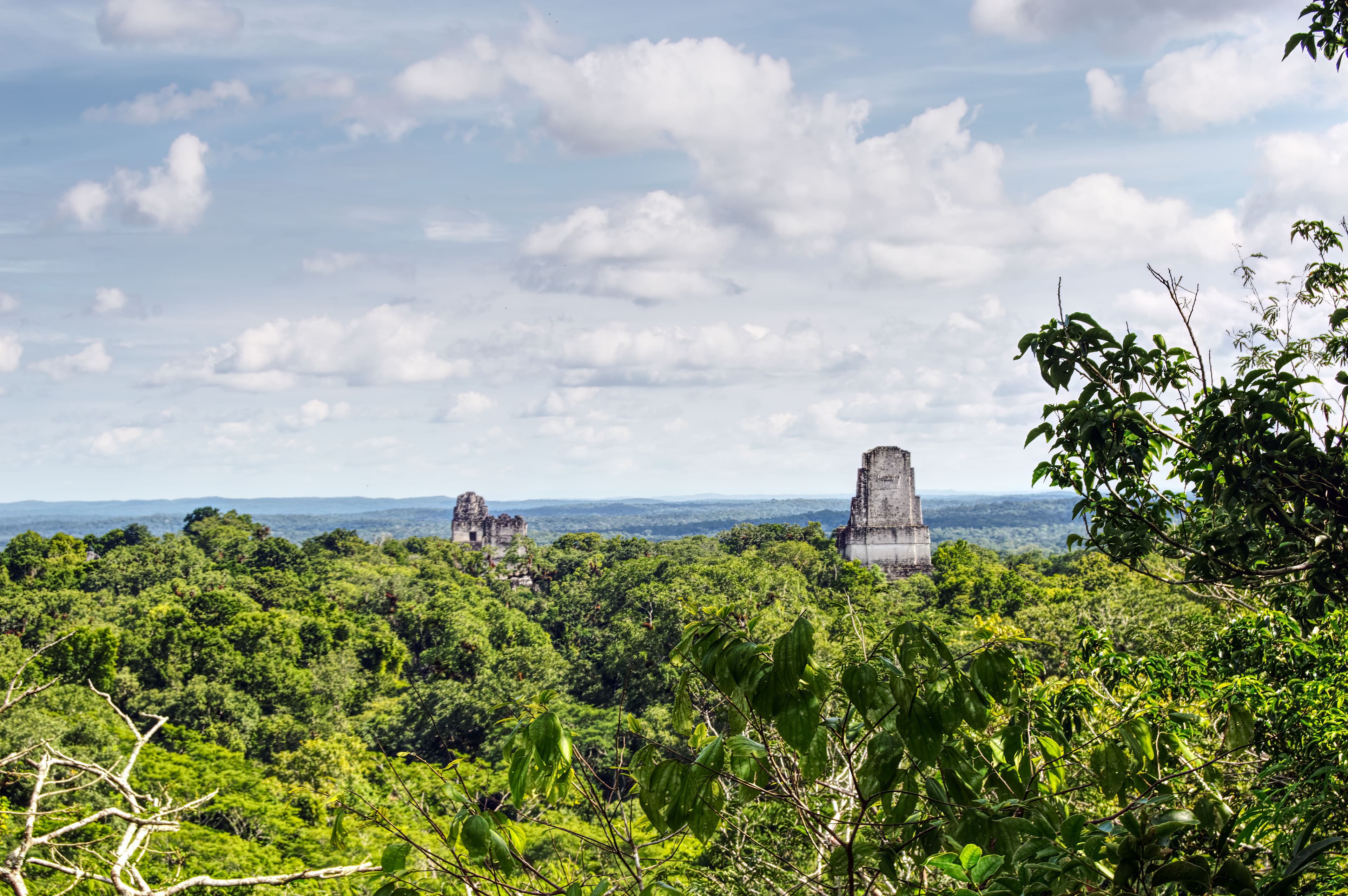 tikal view