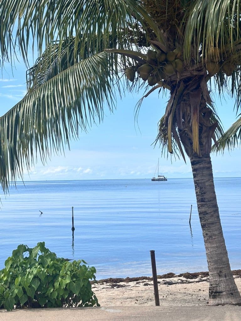 Placencia view