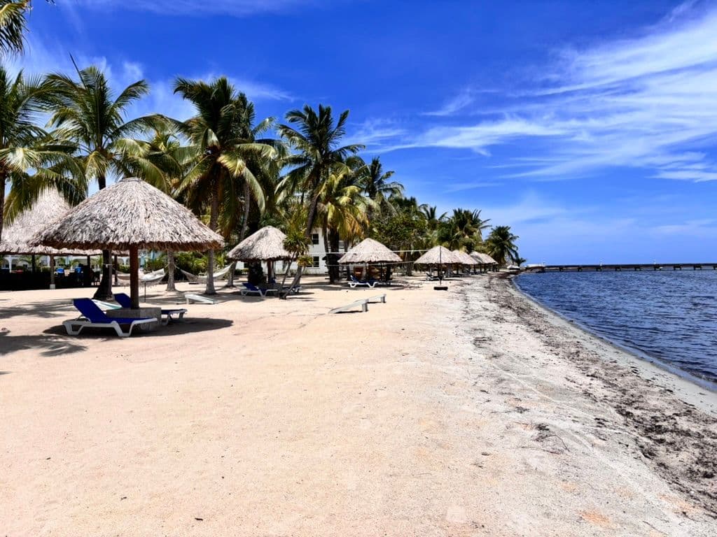 PLACENCIA BEACH