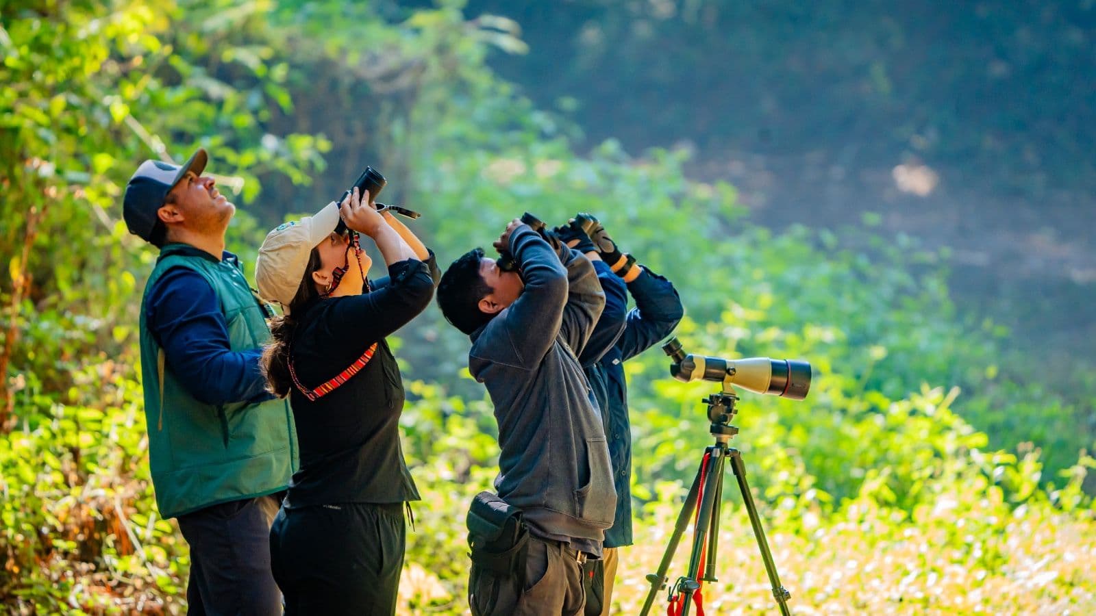 birdwatching